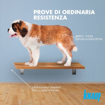 acquisto di pitture, carta da parati, isolanti e cartongesso