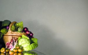 pitture decorative ecologiche Giorgio Graesan cosmocolor